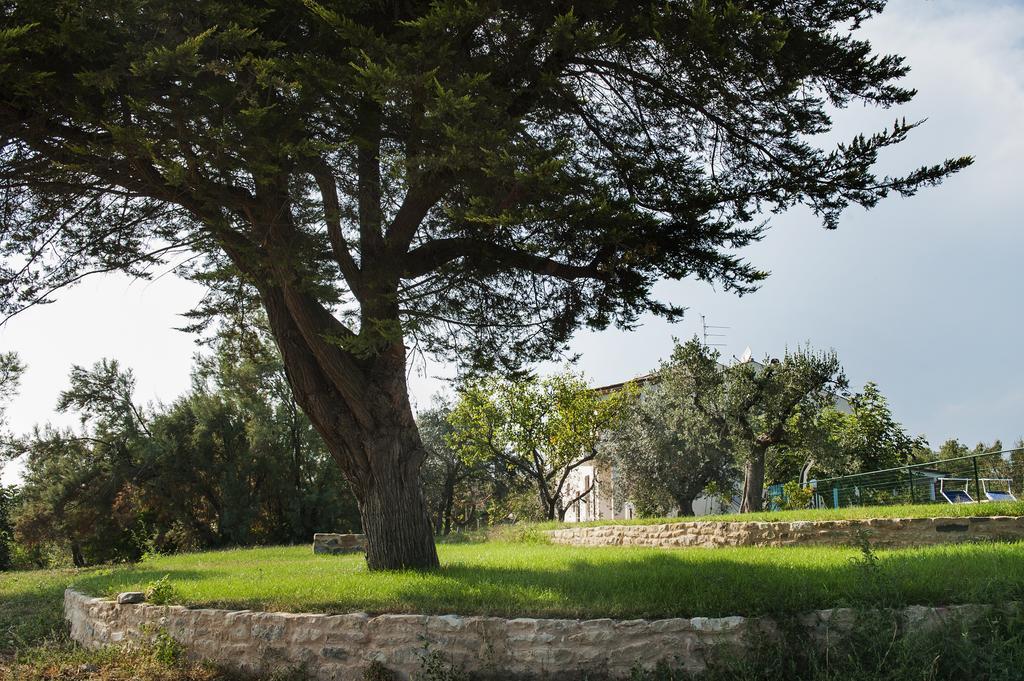 Villa Marchetti Cupra Marittima Zewnętrze zdjęcie